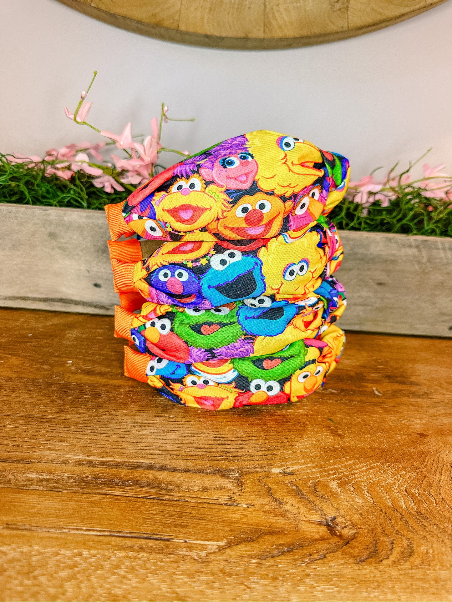 Sesame Street Headband